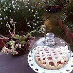 Giardino Della Moscatella Alojamento de Acomodação e Pequeno-almoço 3*