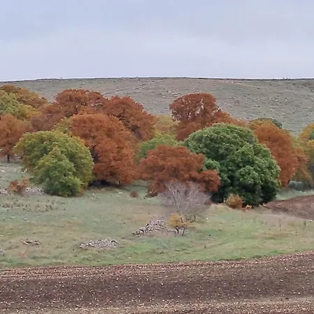 Giardino Della Moscatella