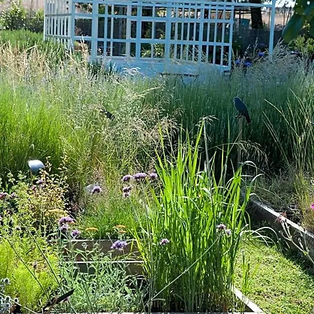 Giardino Della Moscatella Altamura