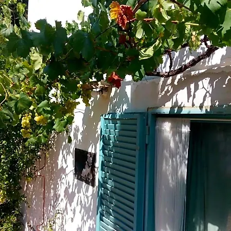 Panzió Giardino Della Moscatella