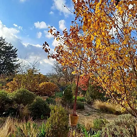 Giardino Della Moscatella 3* Altamura