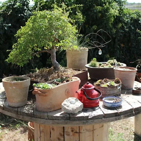 Giardino Della Moscatella Bed & Breakfast Altamura