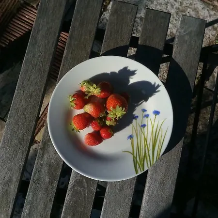 فندق مبيت وإفطار Giardino Della Moscatella ألتامورا