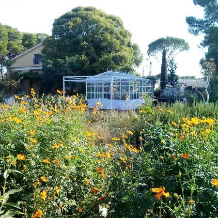 לינה וארוחת בוקר Giardino Della Moscatella אלטאמורה