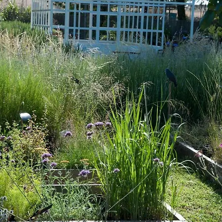 فندق مبيت وإفطار Giardino Della Moscatella ألتامورا