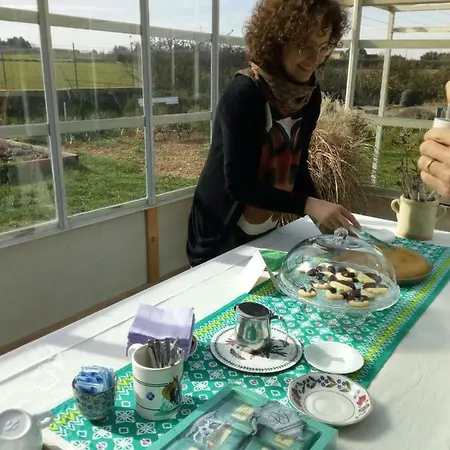 Giardino Della Moscatella לינה וארוחת בוקר אלטאמורה